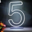 تصویر  عدد نئون پنج